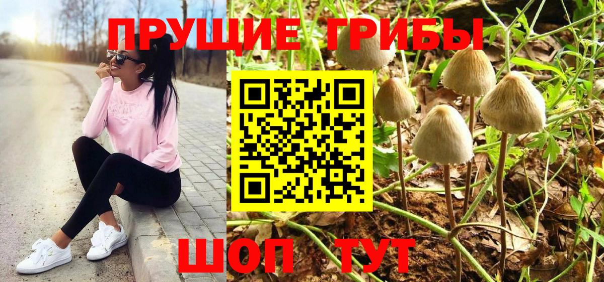 Карталы  Галлюциногенные грибы ЛСД  Галлюциногенные грибы мицелий  Вход с VPN 